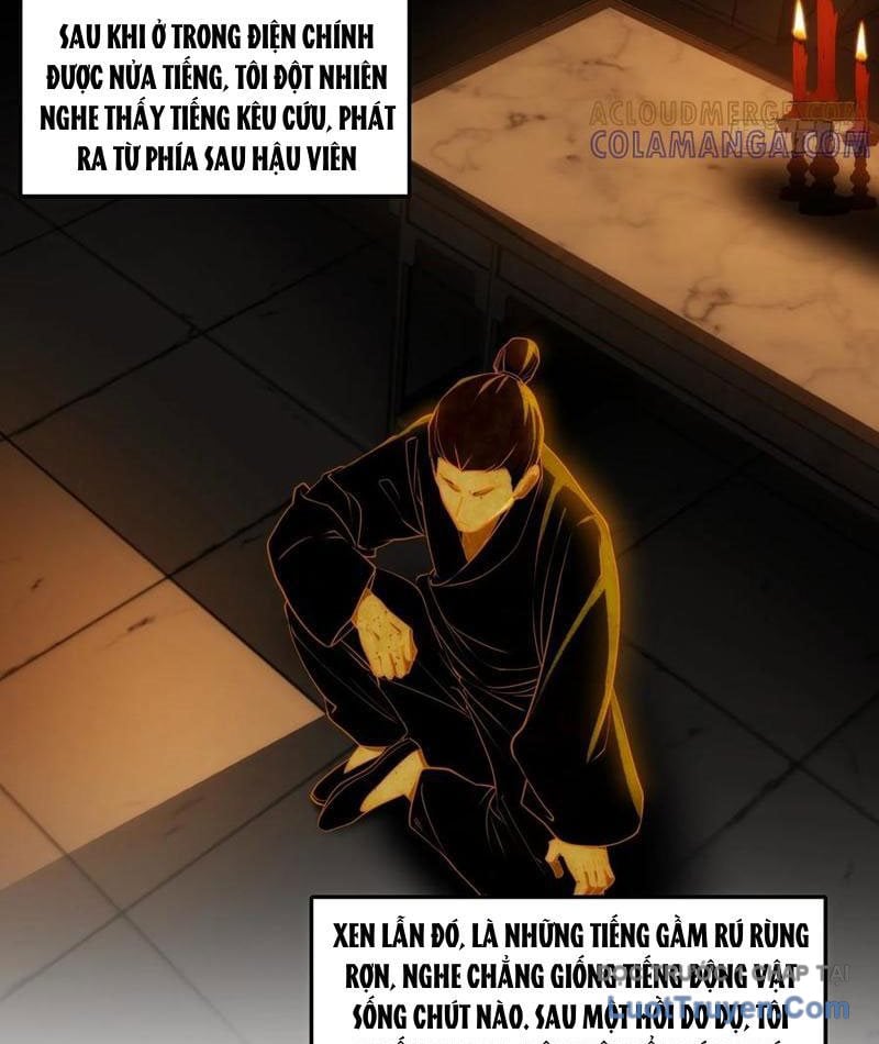 Chapter 13
