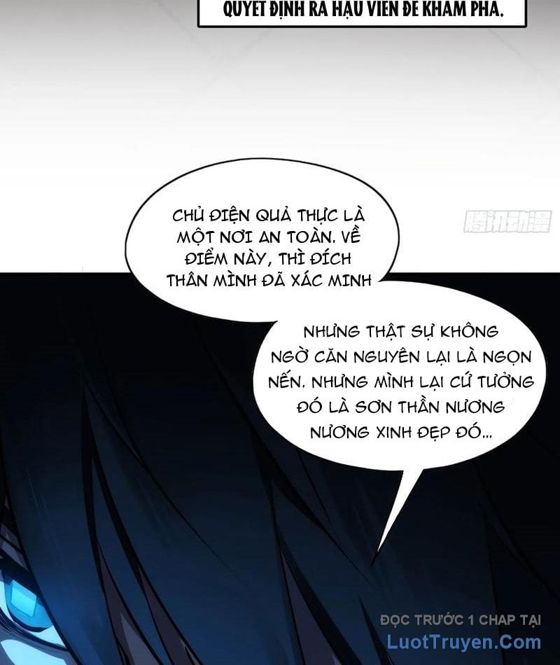 Chapter 13