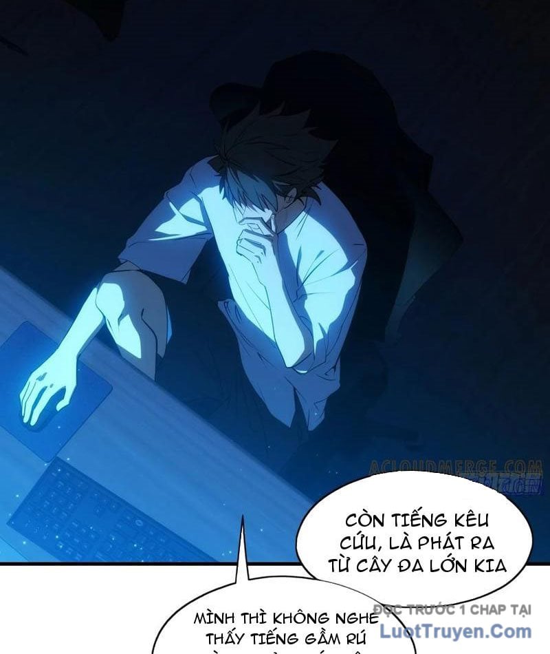 Chapter 13