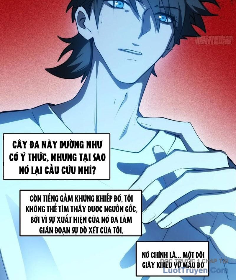 Chapter 13