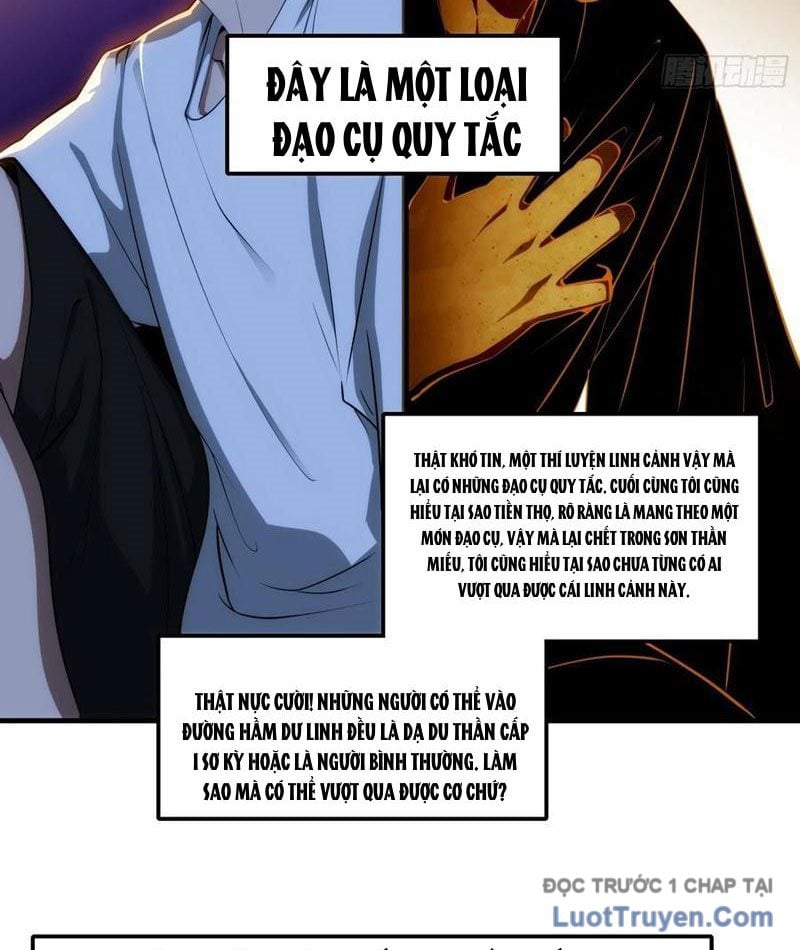 Chapter 13