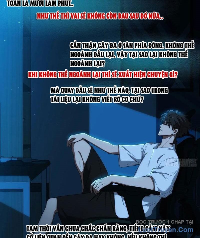Chapter 13