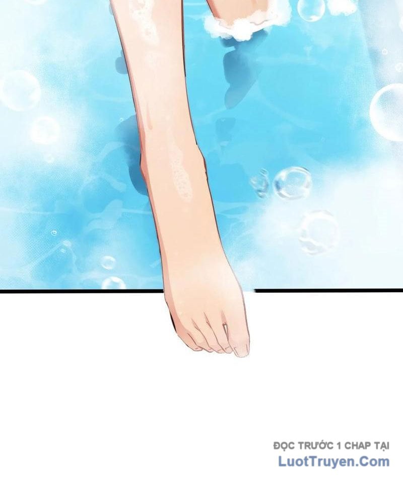 Chapter 13