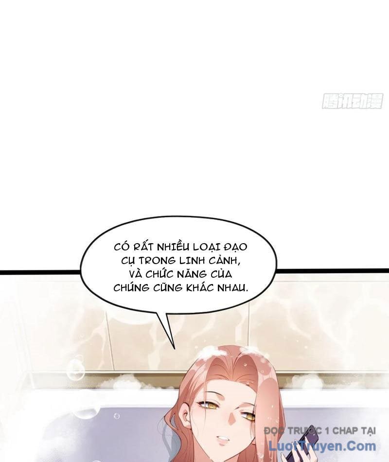 Chapter 13