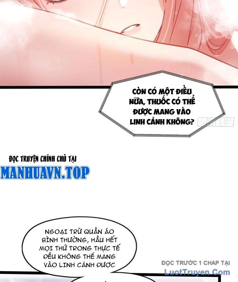 Chapter 13