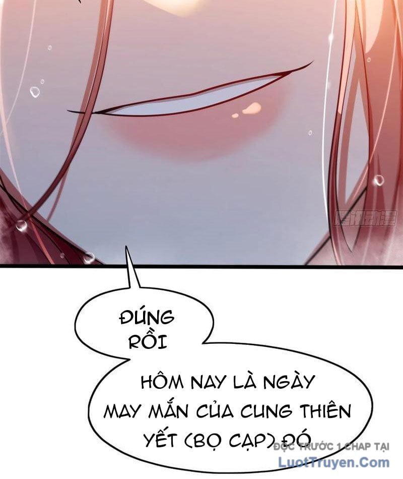 Chapter 13