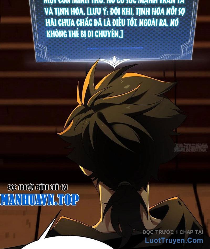 Chapter 14