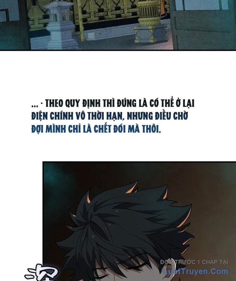 Chapter 14