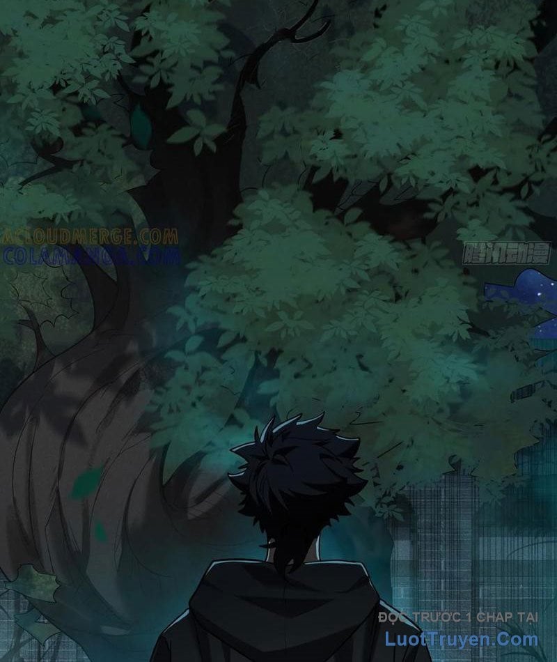 Chapter 14