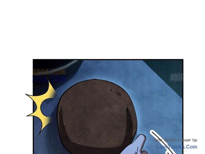Chapter 15