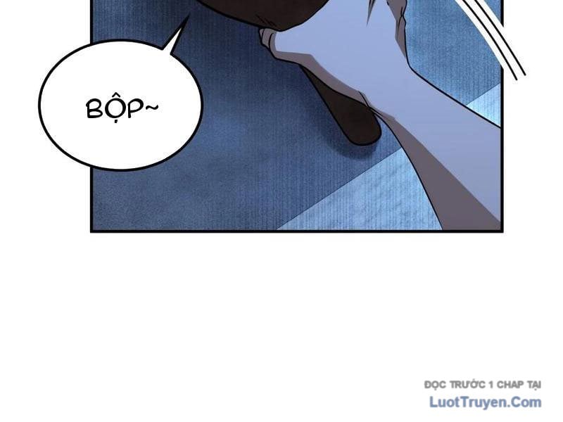 Chapter 15