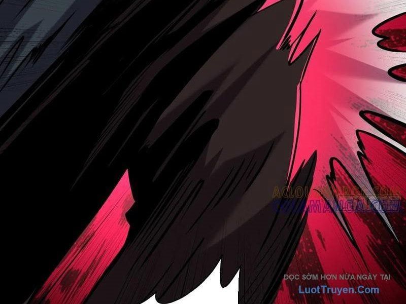 Chapter 17