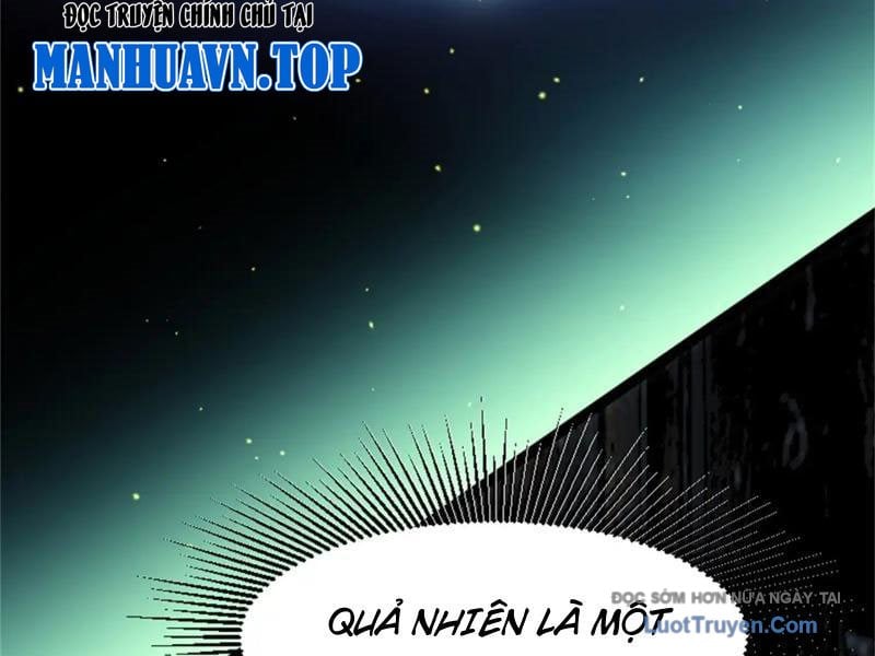 Chapter 19