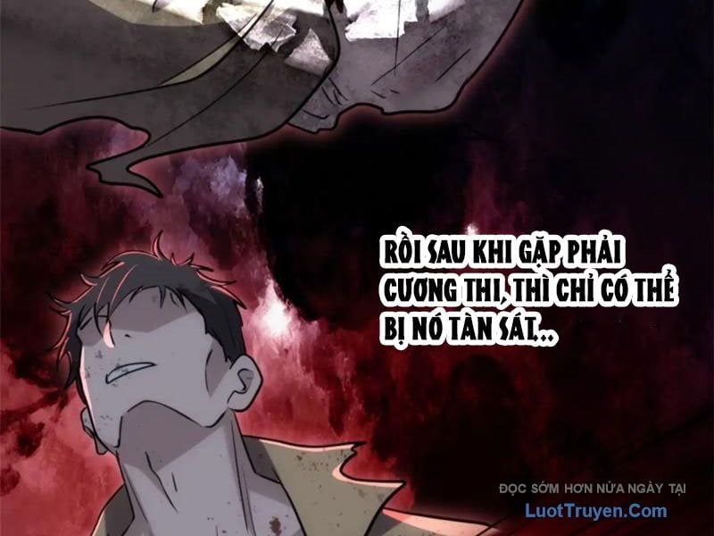 Chapter 19