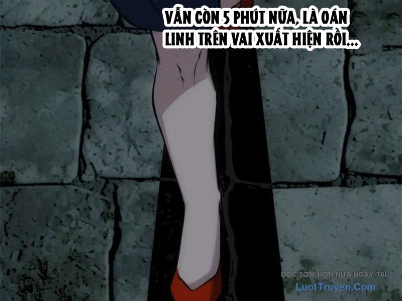 Chapter 19