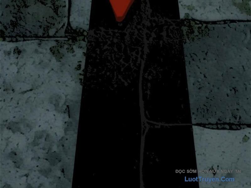 Chapter 19