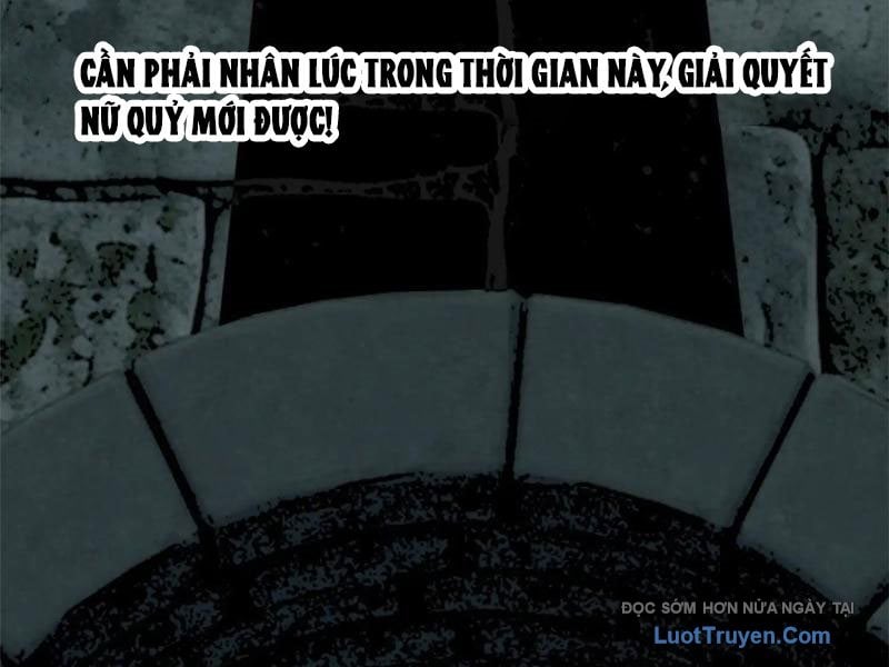 Chapter 19