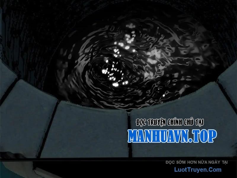 Chapter 19