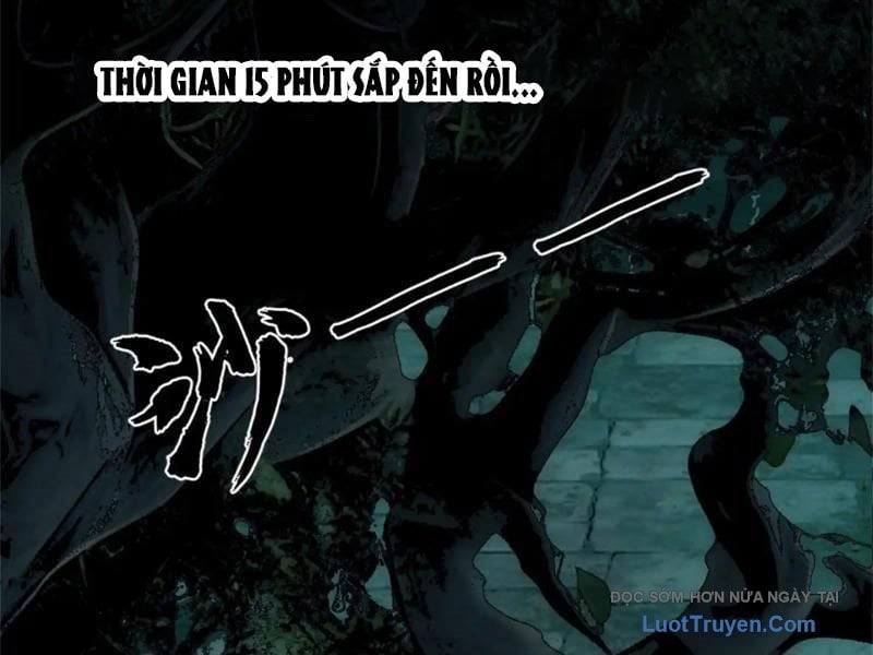 Chapter 19