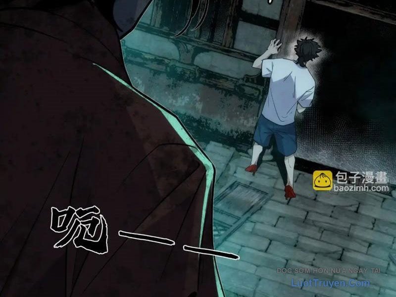 Chapter 19