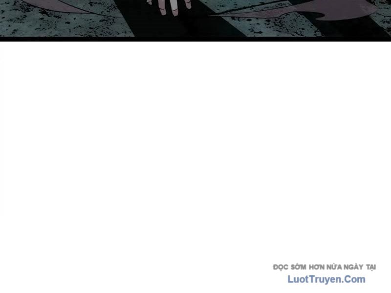 Chapter 19