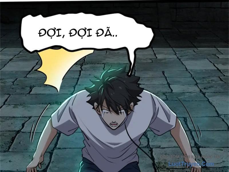Chapter 19