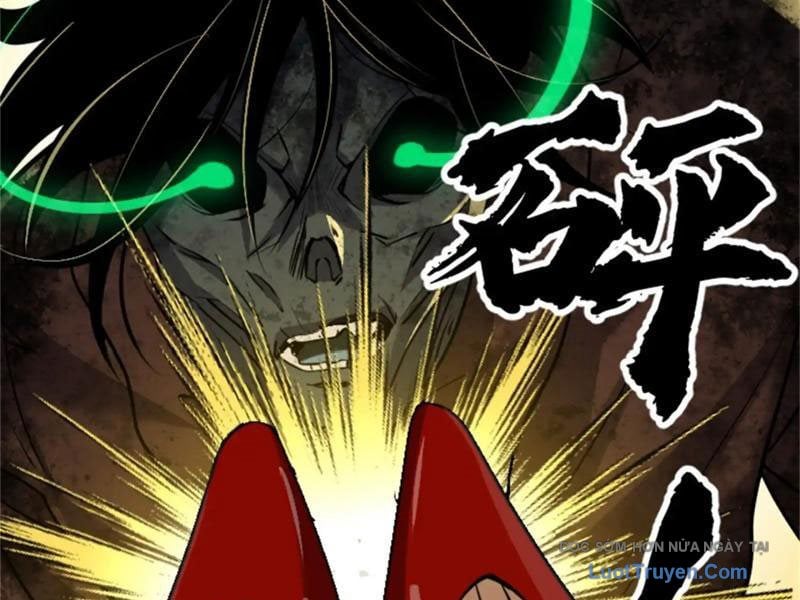 Chapter 19