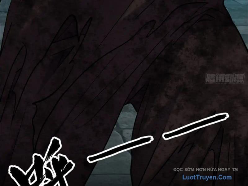 Chapter 19