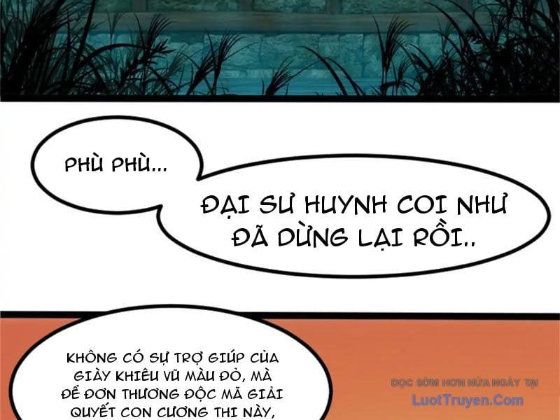 Chapter 19