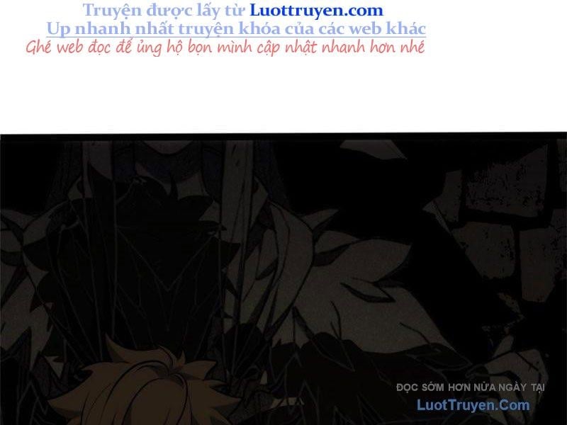 Chapter 20