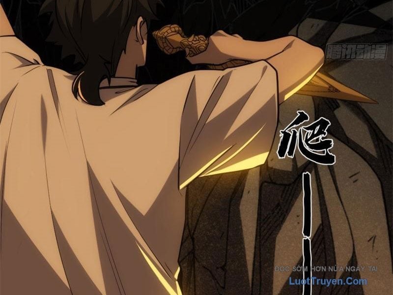 Chapter 20