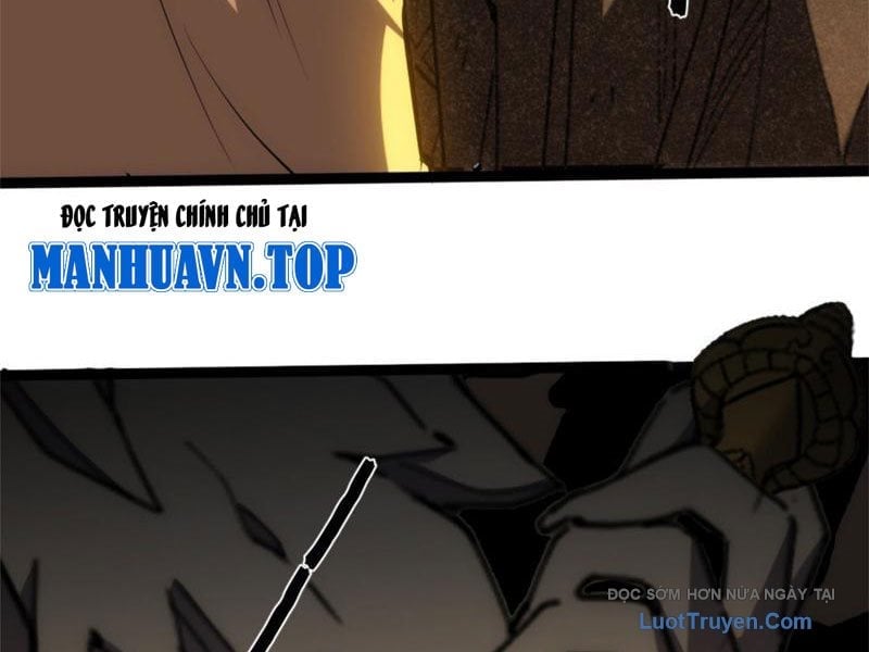 Chapter 20