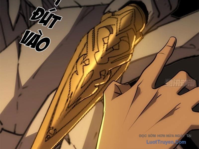 Chapter 20