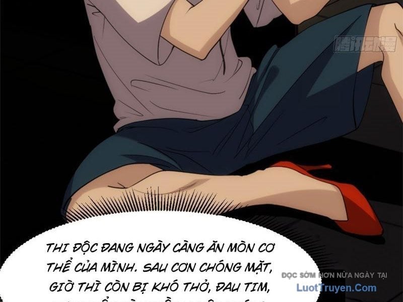 Chapter 20