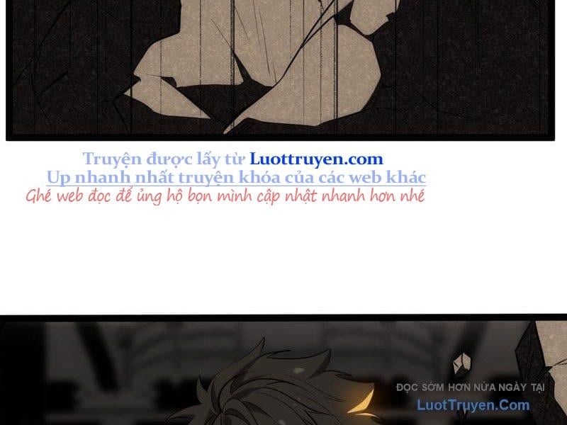 Chapter 20