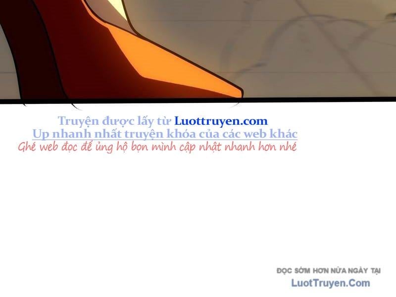 Chapter 20