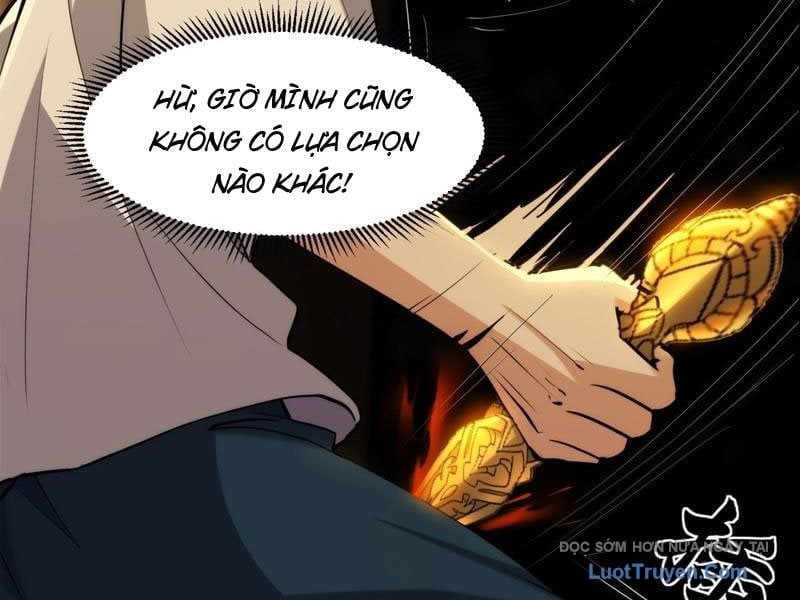 Chapter 20