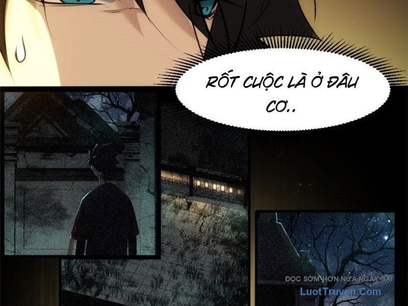 Chapter 20