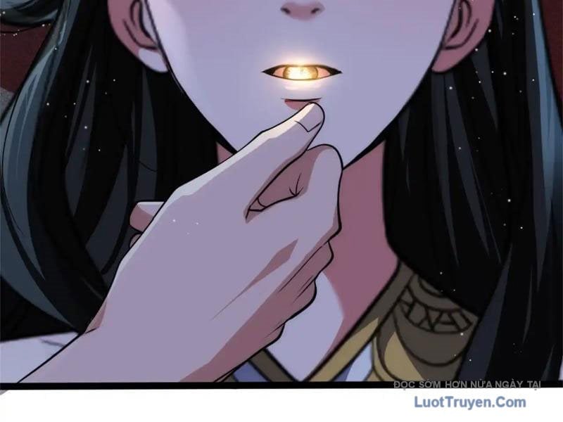 Chapter 23