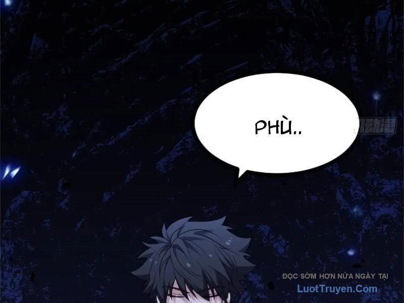 Chapter 23