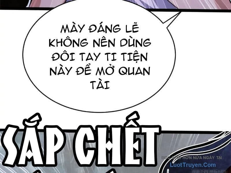 Chapter 23