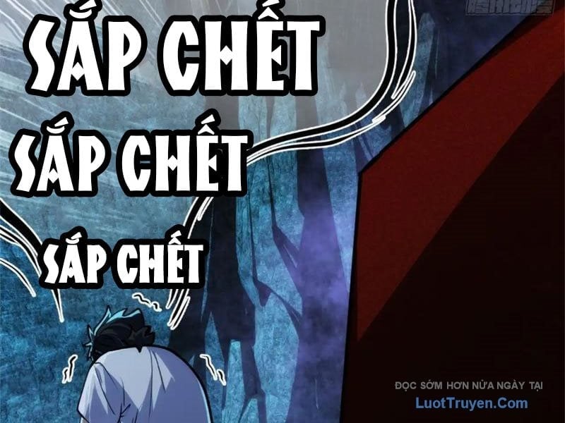 Chapter 23