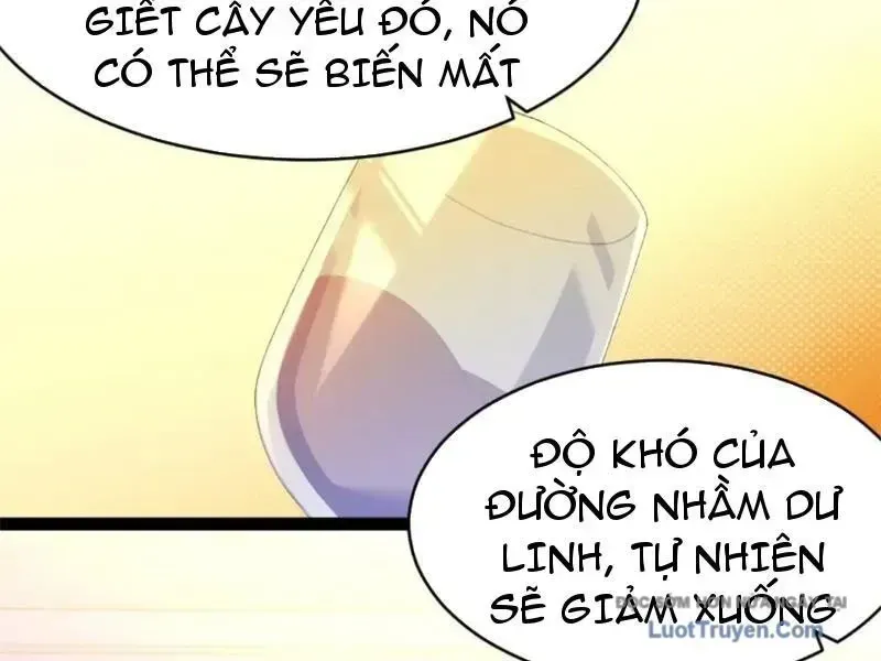Chapter 25
