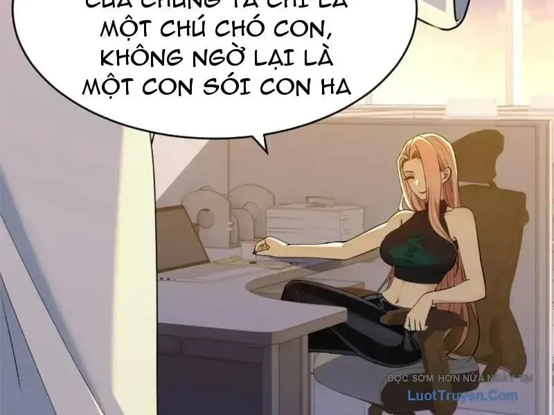 Chapter 25