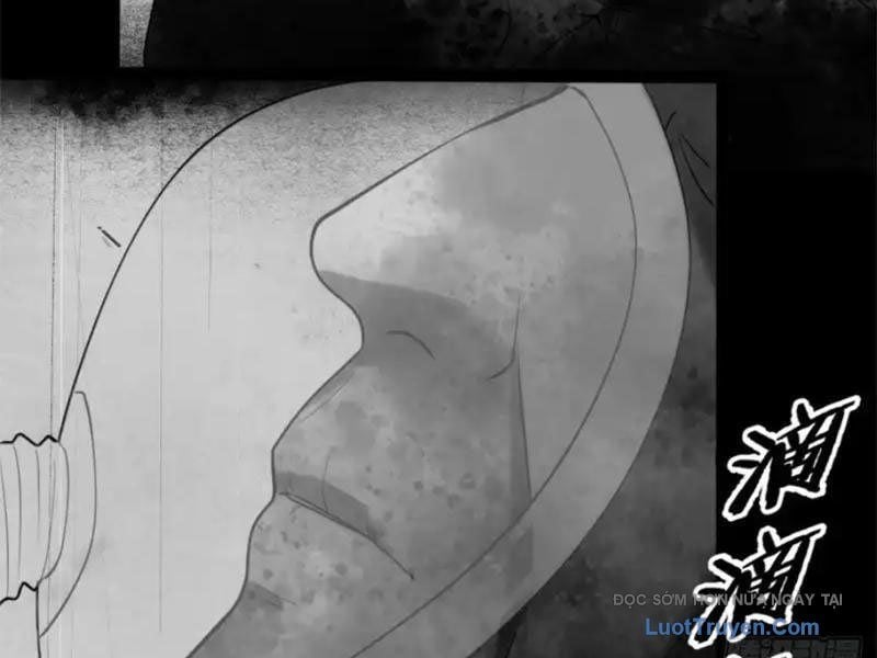 Chapter 29