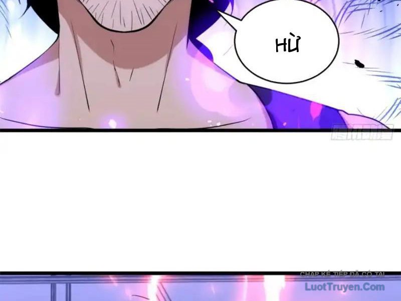 Chapter 33