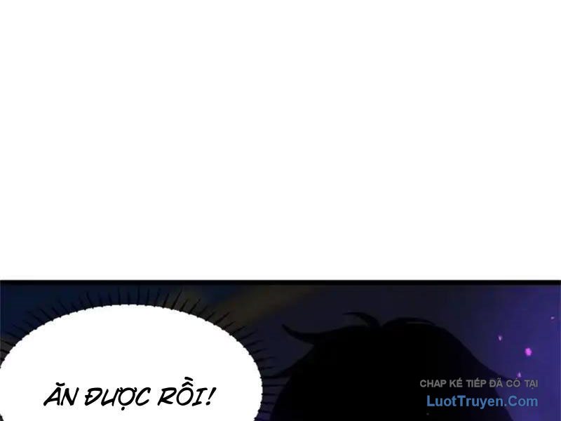 Chapter 33