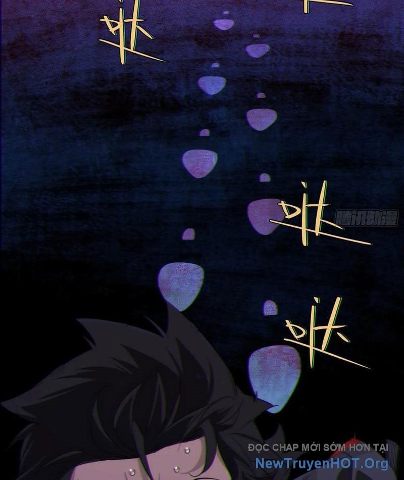 Chapter 5