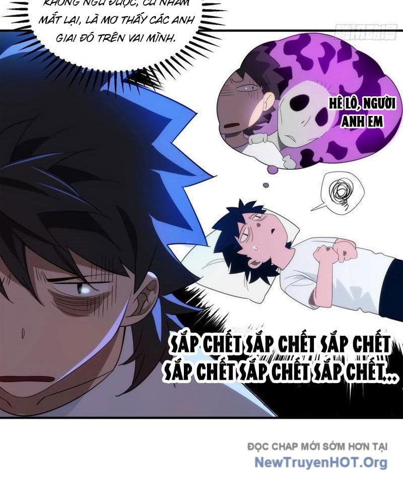 Chapter 8