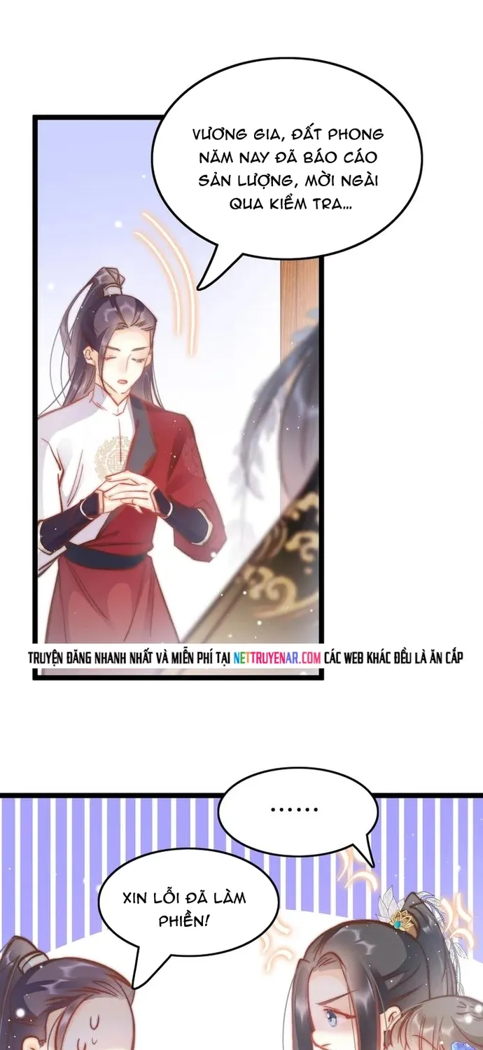 Chapter 40
